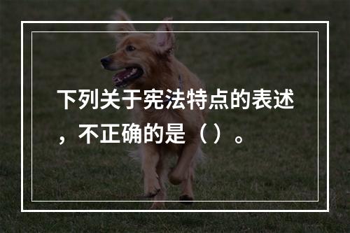 下列关于宪法特点的表述，不正确的是（ ）。