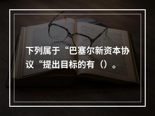 下列属于“巴塞尔新资本协议“提出目标的有（）。