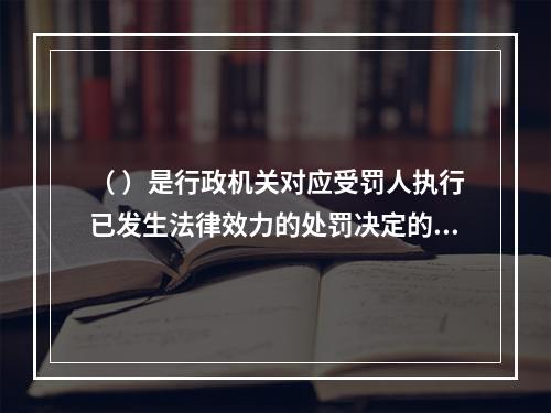 （ ）是行政机关对应受罚人执行已发生法律效力的处罚决定的程序