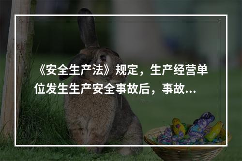 《安全生产法》规定，生产经营单位发生生产安全事故后，事故现场