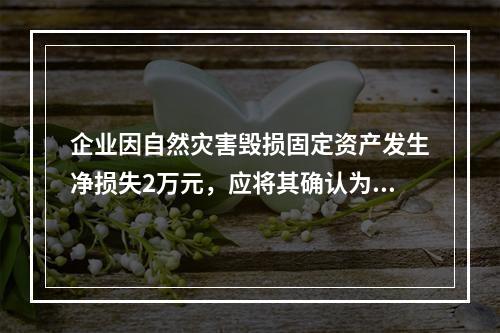 企业因自然灾害毁损固定资产发生净损失2万元，应将其确认为费用