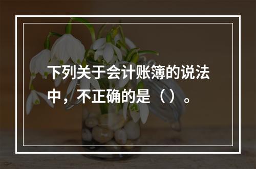 下列关于会计账簿的说法中，不正确的是（ ）。