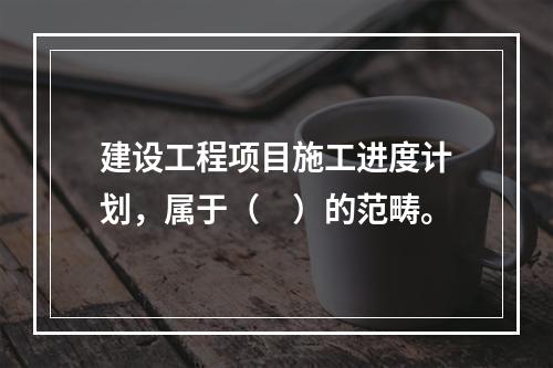 建设工程项目施工进度计划，属于（　）的范畴。