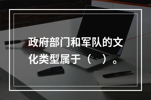 政府部门和军队的文化类型属于（　）。