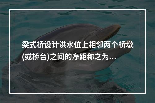 梁式桥设计洪水位上相邻两个桥墩(或桥台)之间的净距称之为（　