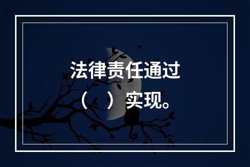 法律责任通过（　）实现。