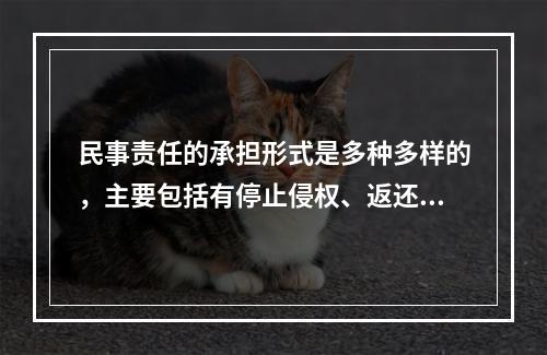 民事责任的承担形式是多种多样的，主要包括有停止侵权、返还财产