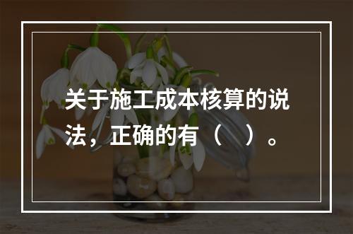 关于施工成本核算的说法，正确的有（　）。