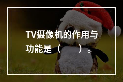 TV摄像机的作用与功能是（　　）。