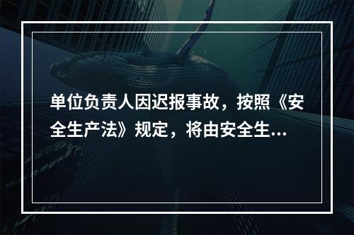 单位负责人因迟报事故，按照《安全生产法》规定，将由安全生产监