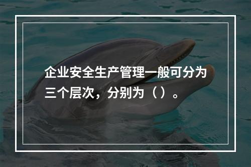 企业安全生产管理一般可分为三个层次，分别为（ ）。