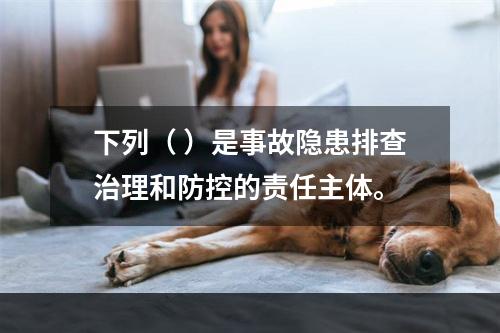 下列（ ）是事故隐患排查治理和防控的责任主体。