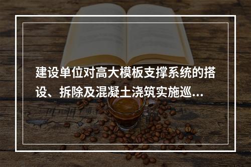 建设单位对高大模板支撑系统的搭设、拆除及混凝土浇筑实施巡查，