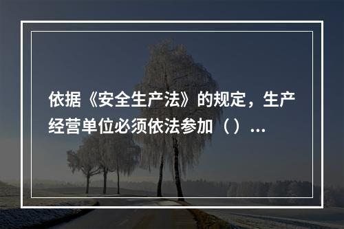 依据《安全生产法》的规定，生产经营单位必须依法参加（ ），为