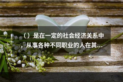 （ ）是在一定的社会经济关系中，从事各种不同职业的人在其特定