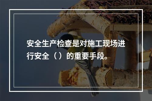 安全生产检查是对施工现场进行安全（ ）的重要手段。