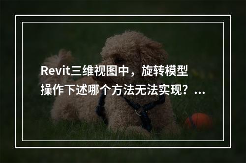 Revit三维视图中，旋转模型操作下述哪个方法无法实现？()