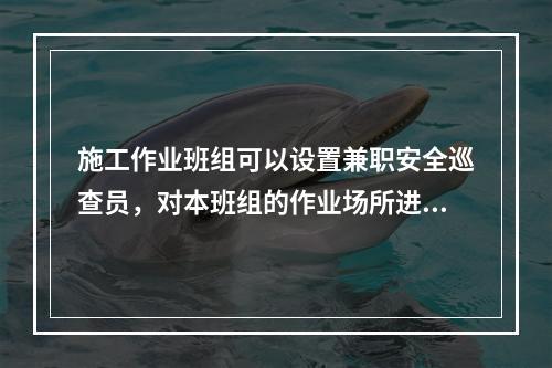 施工作业班组可以设置兼职安全巡查员，对本班组的作业场所进行安