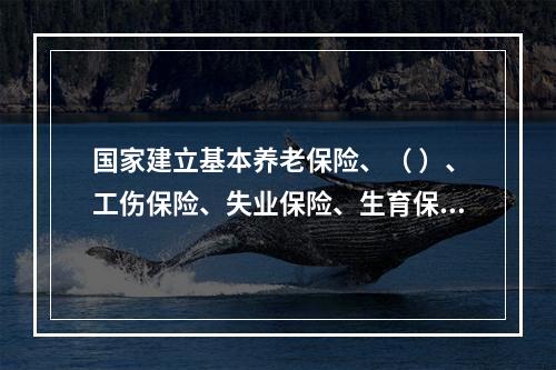 国家建立基本养老保险、（ ）、工伤保险、失业保险、生育保险等