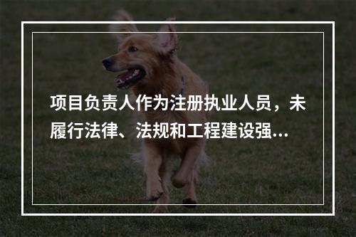 项目负责人作为注册执业人员，未履行法律、法规和工程建设强制性