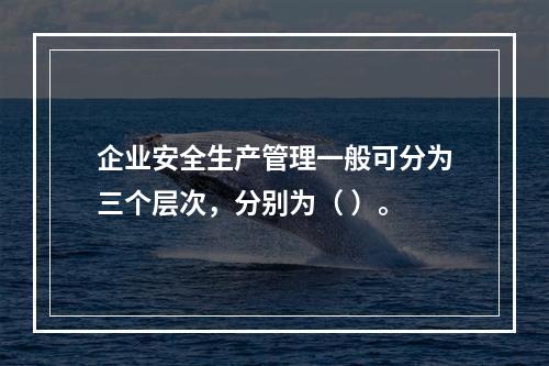 企业安全生产管理一般可分为三个层次，分别为（ ）。