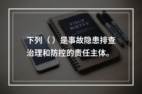 下列（ ）是事故隐患排查治理和防控的责任主体。