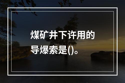 煤矿井下许用的导爆索是()。