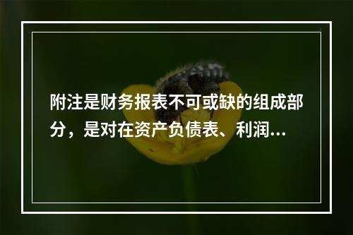 附注是财务报表不可或缺的组成部分，是对在资产负债表、利润表、