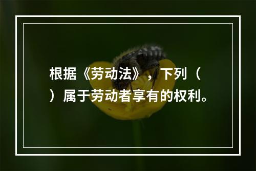 根据《劳动法》，下列（ ）属于劳动者享有的权利。