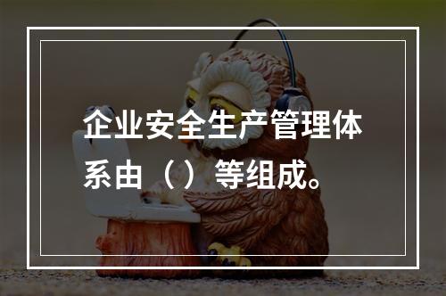 企业安全生产管理体系由（ ）等组成。