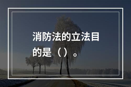 消防法的立法目的是（ ）。