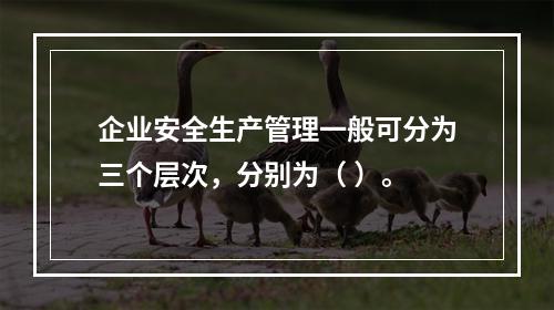 企业安全生产管理一般可分为三个层次，分别为（ ）。