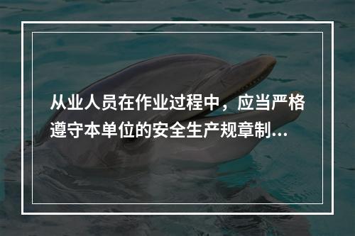 从业人员在作业过程中，应当严格遵守本单位的安全生产规章制度和