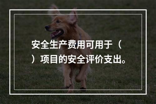 安全生产费用可用于（ ）项目的安全评价支出。