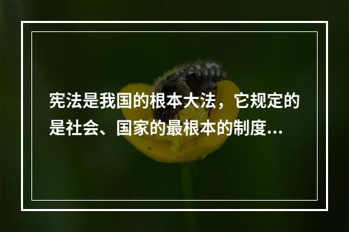 宪法是我国的根本大法，它规定的是社会、国家的最根本的制度、公