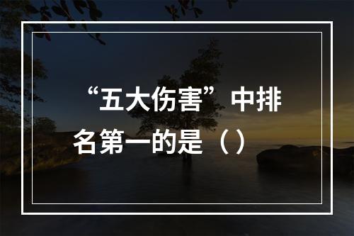 “五大伤害”中排名第一的是（ ）