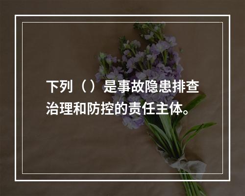 下列（ ）是事故隐患排查治理和防控的责任主体。