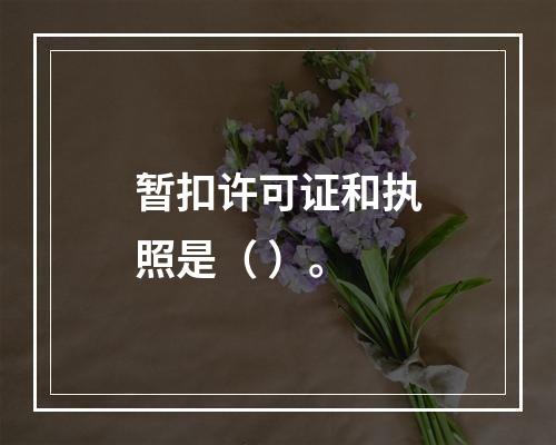 暂扣许可证和执照是（ ）。