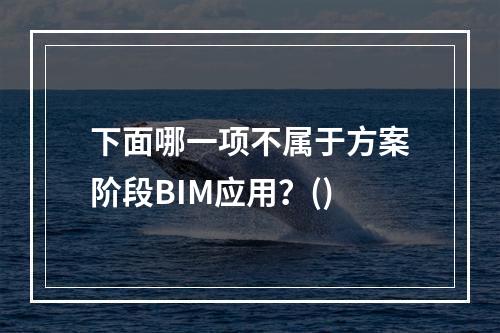 下面哪一项不属于方案阶段BIM应用？()