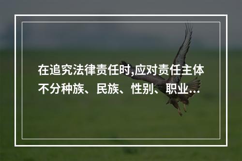 在追究法律责任时,应对责任主体不分种族、民族、性别、职业、社