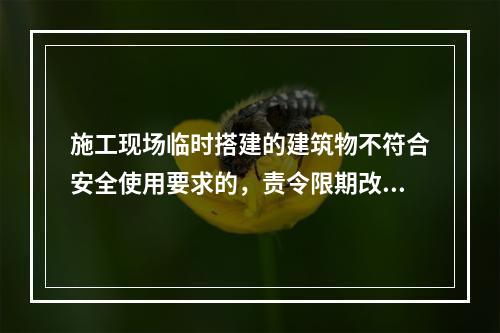 施工现场临时搭建的建筑物不符合安全使用要求的，责令限期改正，