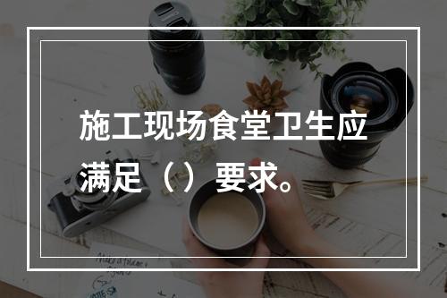 施工现场食堂卫生应满足（ ）要求。