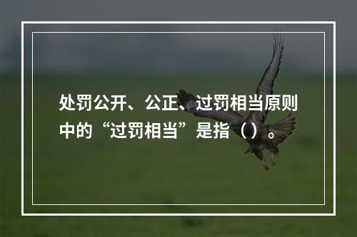 处罚公开、公正、过罚相当原则中的“过罚相当”是指（ ）。