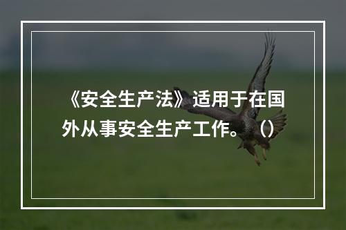 《安全生产法》适用于在国外从事安全生产工作。（）