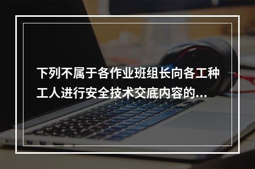 下列不属于各作业班组长向各工种工人进行安全技术交底内容的是（