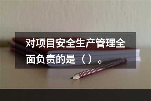 对项目安全生产管理全面负责的是（ ）。