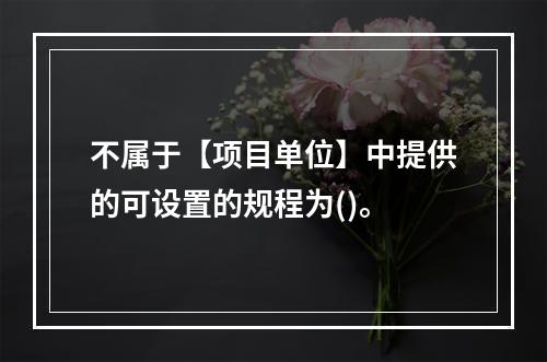 不属于【项目单位】中提供的可设置的规程为()。