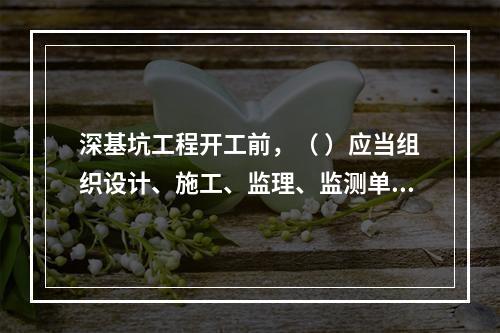 深基坑工程开工前，（ ）应当组织设计、施工、监理、监测单位进