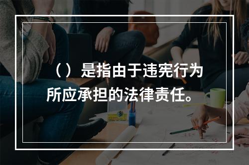 （ ）是指由于违宪行为所应承担的法律责任。