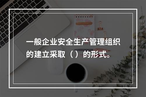 一般企业安全生产管理组织的建立采取（ ）的形式。